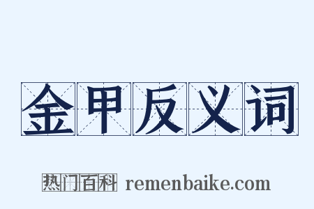 金甲反义词是什么意思的图片